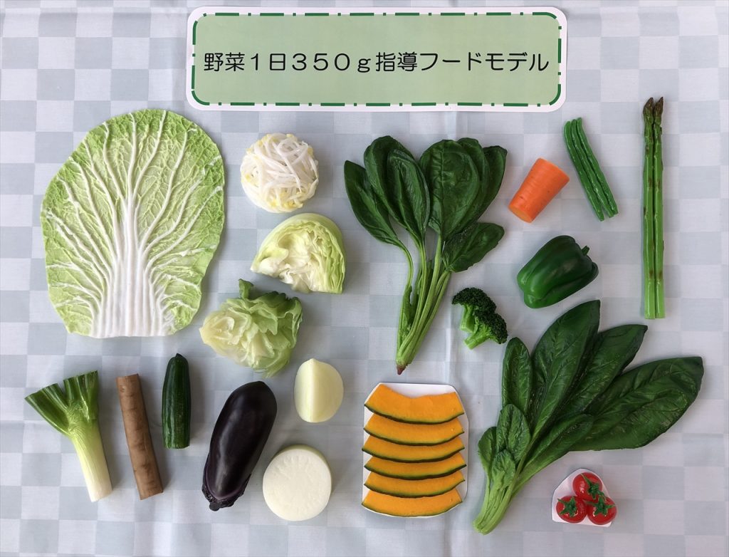 https://hgk.or.jp/info/files/foodmodel2.jpg